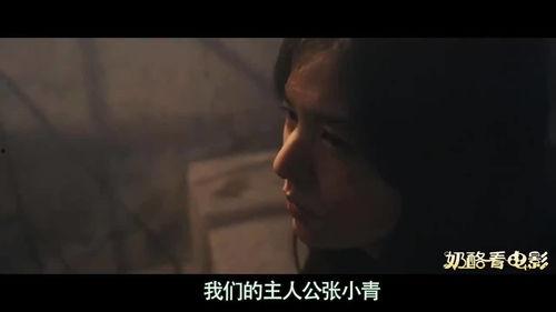 国产大黄片,传承与创新，中医药瑰宝的现代化之路  第3张